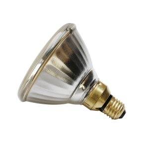 240v 80w E27/ES PAR38 122mm Flood Reflector Bulb Clear
