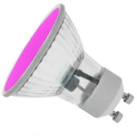 ProLite GU10/LED/1.8W/MAGENTA - GU10 1.8W LED- Magenta