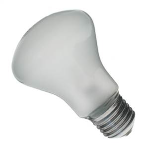 ECT EBV P2/1 CP/2 110v 500w E26 Base Photo Flood Frosted Projector Lamp