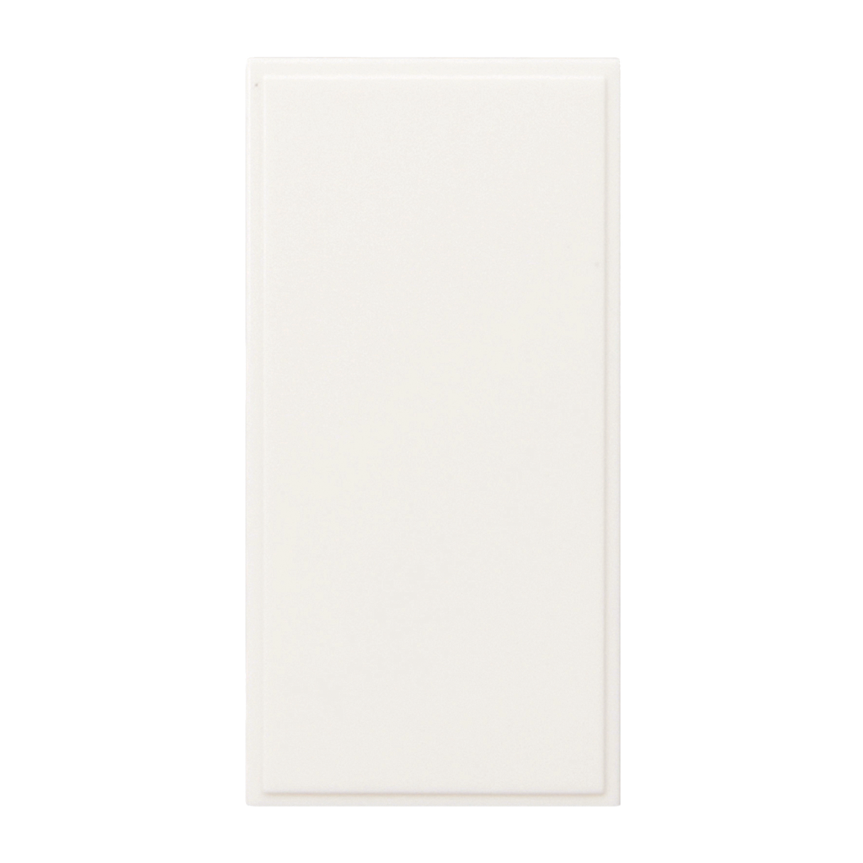 Caradok Blank Plate 25x50, White