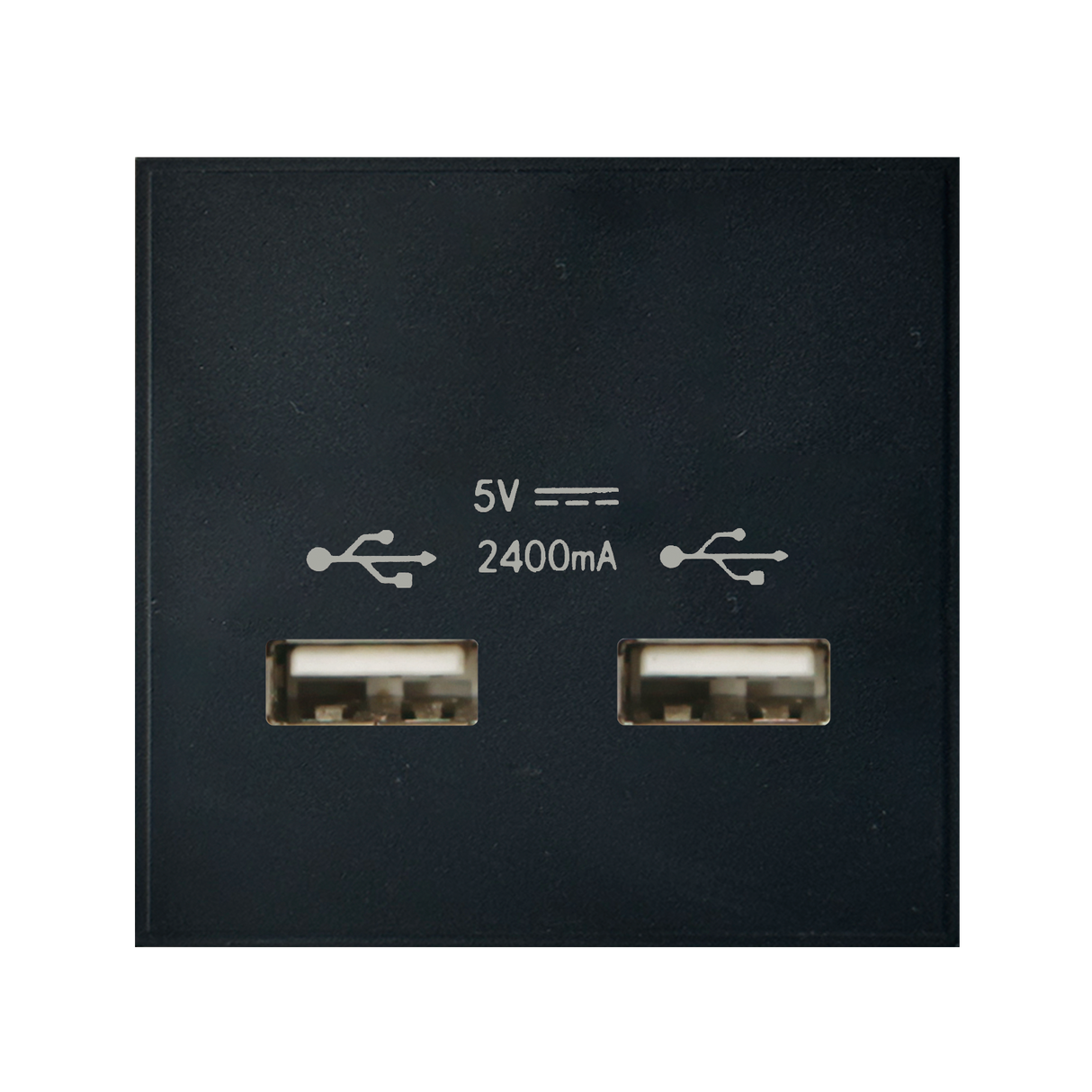 Caradok 2G 2400mA USB Charger 50x50, Black