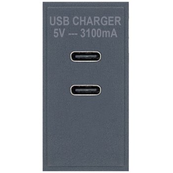 Selectric Grey 2xUSB Type C (3.1A) Module