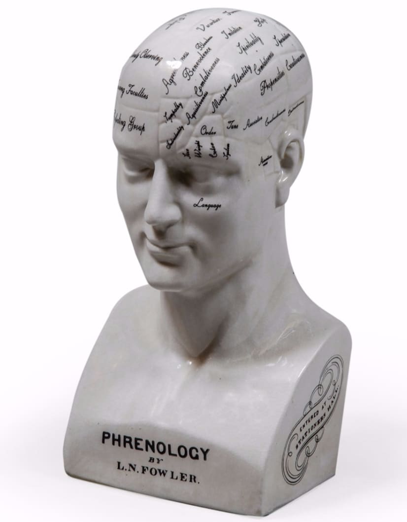 Large Antiqued Ceramic Phrenology Head - BP202