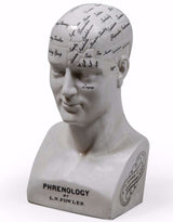 Large Antiqued Ceramic Phrenology Head - BP202