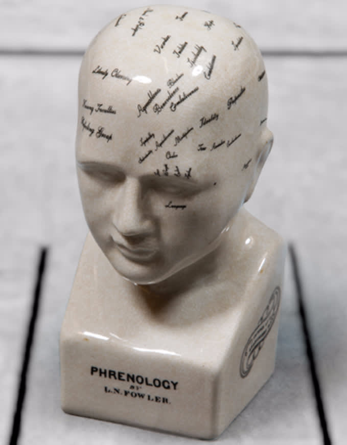 Small Antiqued Ceramic Phrenology Head - BP203