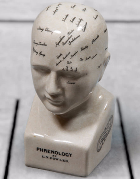 Small Antiqued Ceramic Phrenology Head - BP203