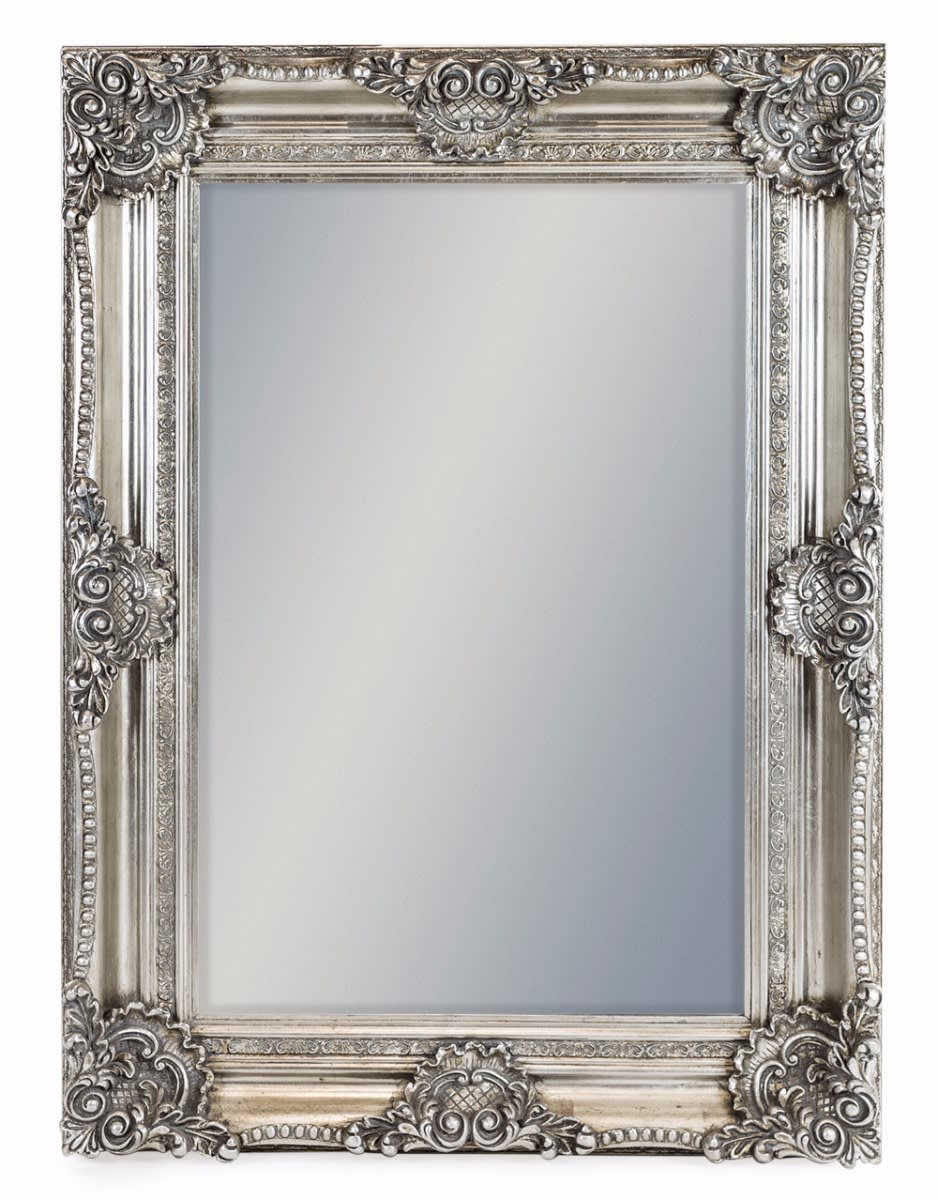 Silver Rectangular Classic Mirror - M244