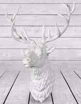 Large Bright White Stag Wall Head - BD67