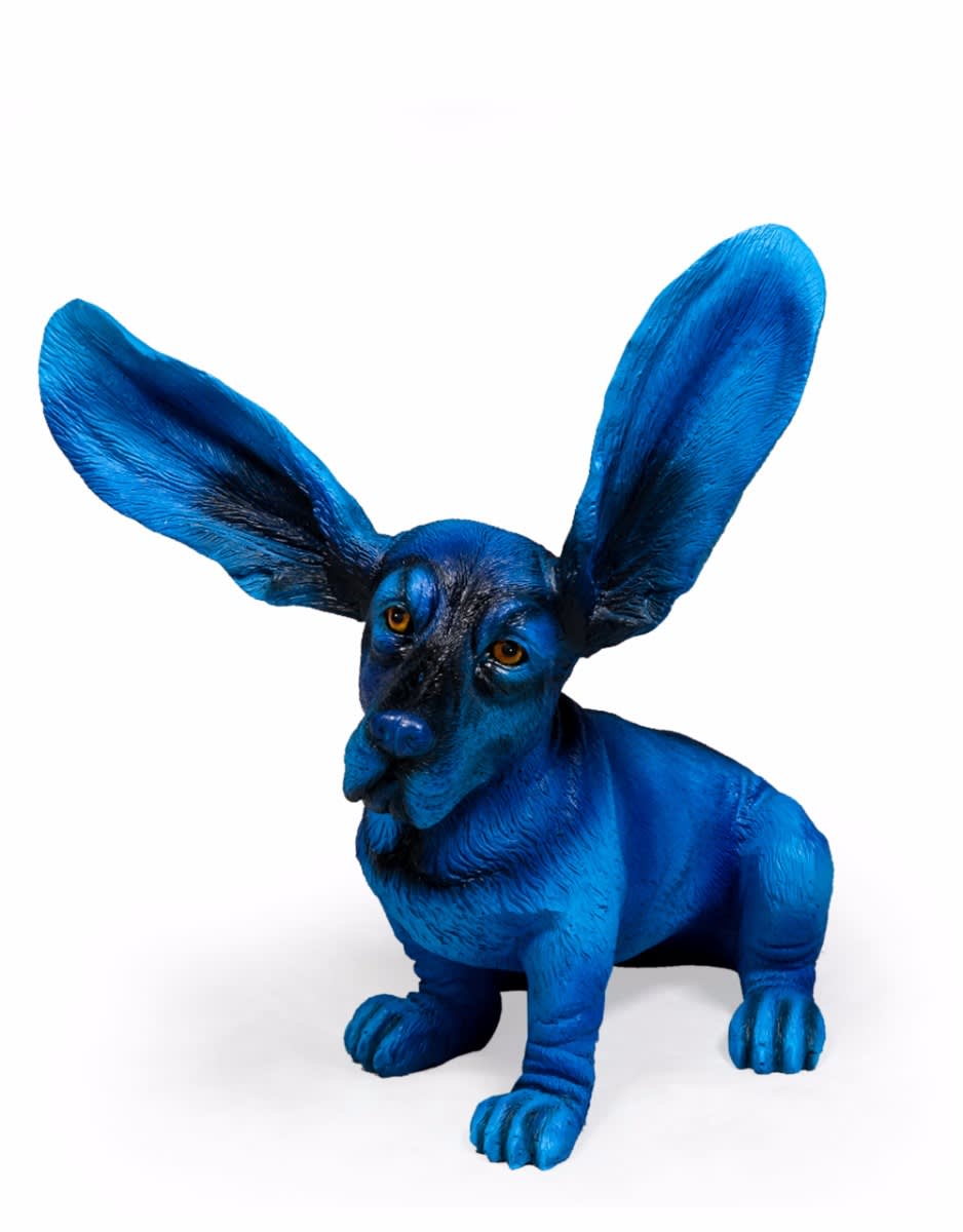 Electric Blue Surprised Basset - BD76