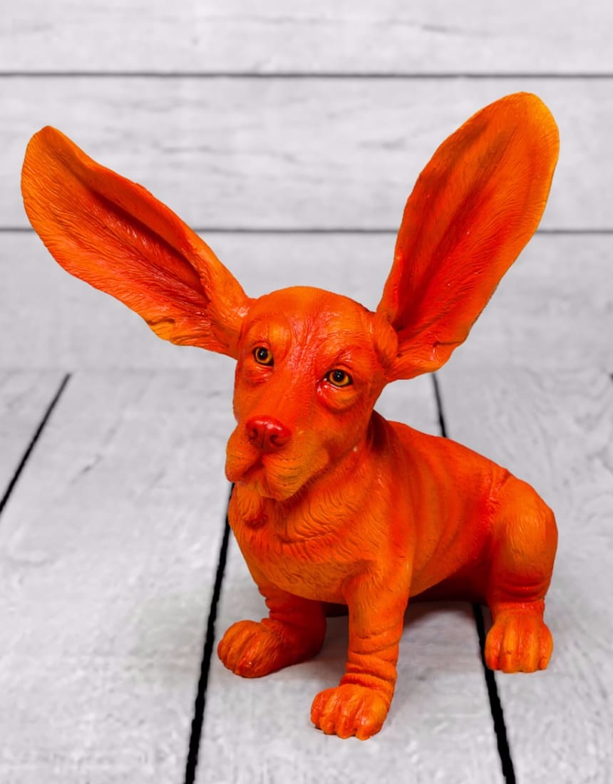 Atomic Orange Surprised Basset - BD77