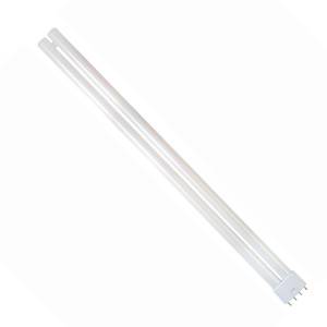 Bell PLL40-84-BE - BLL 840 4 Pin - 240v 40W 2G11