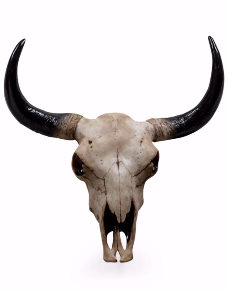 Large Bison Skull Wall Head - BD87