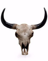 Large Bison Skull Wall Head - BD87