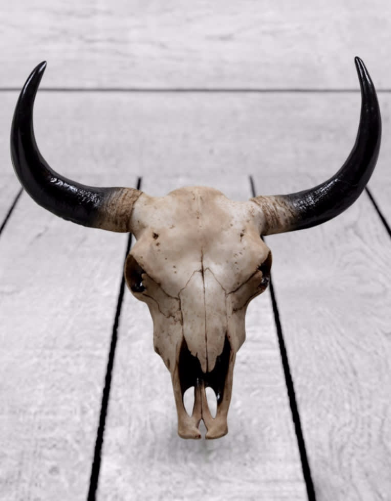 Large Bison Skull Wall Head - BD87