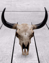 Large Bison Skull Wall Head - BD87