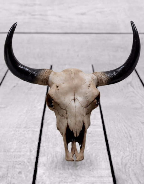 Large Bison Skull Wall Head - BD87