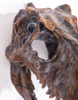 Large T-Rex Skull Wall Head - BD88