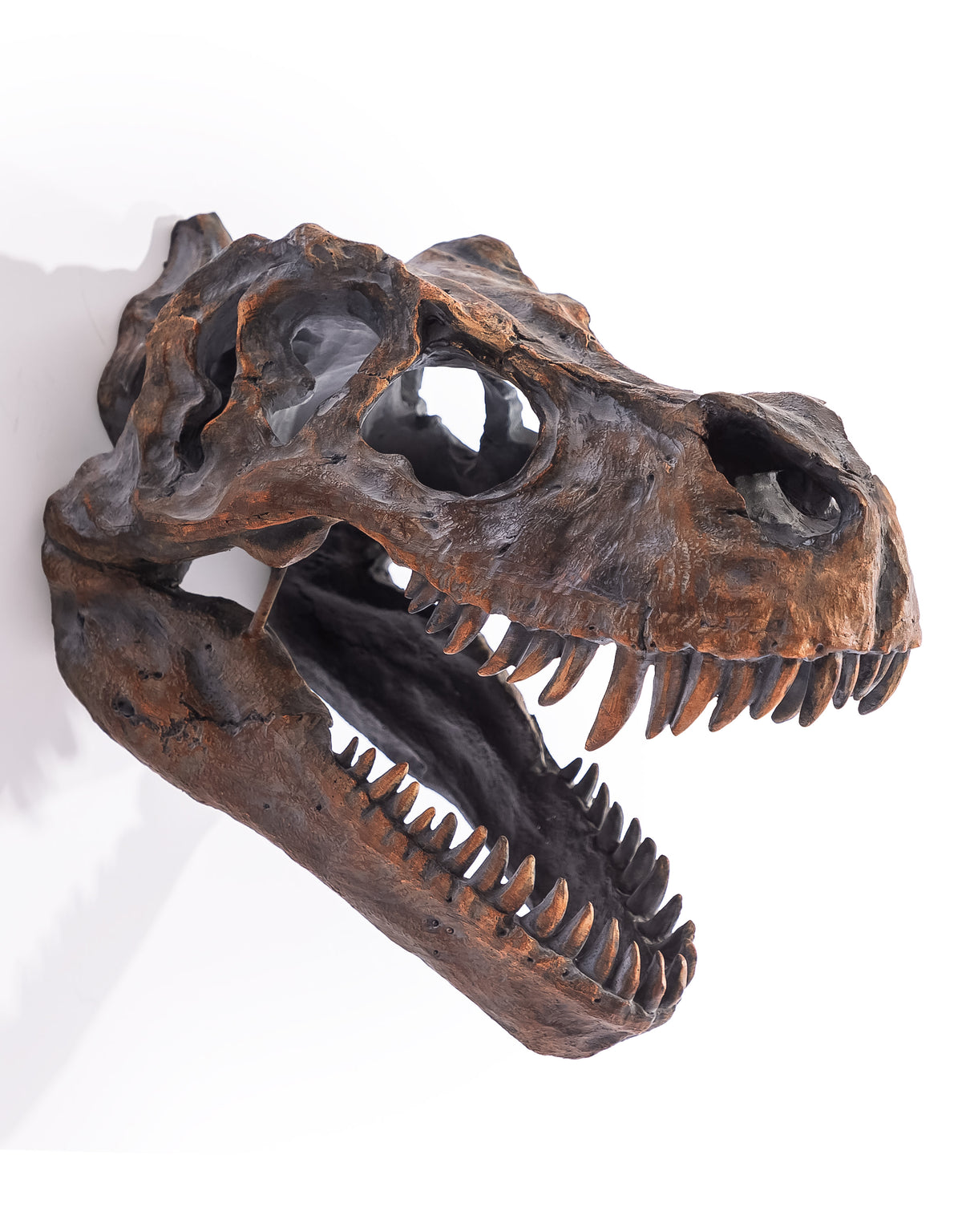 Large T-Rex Skull Wall Head - BD88