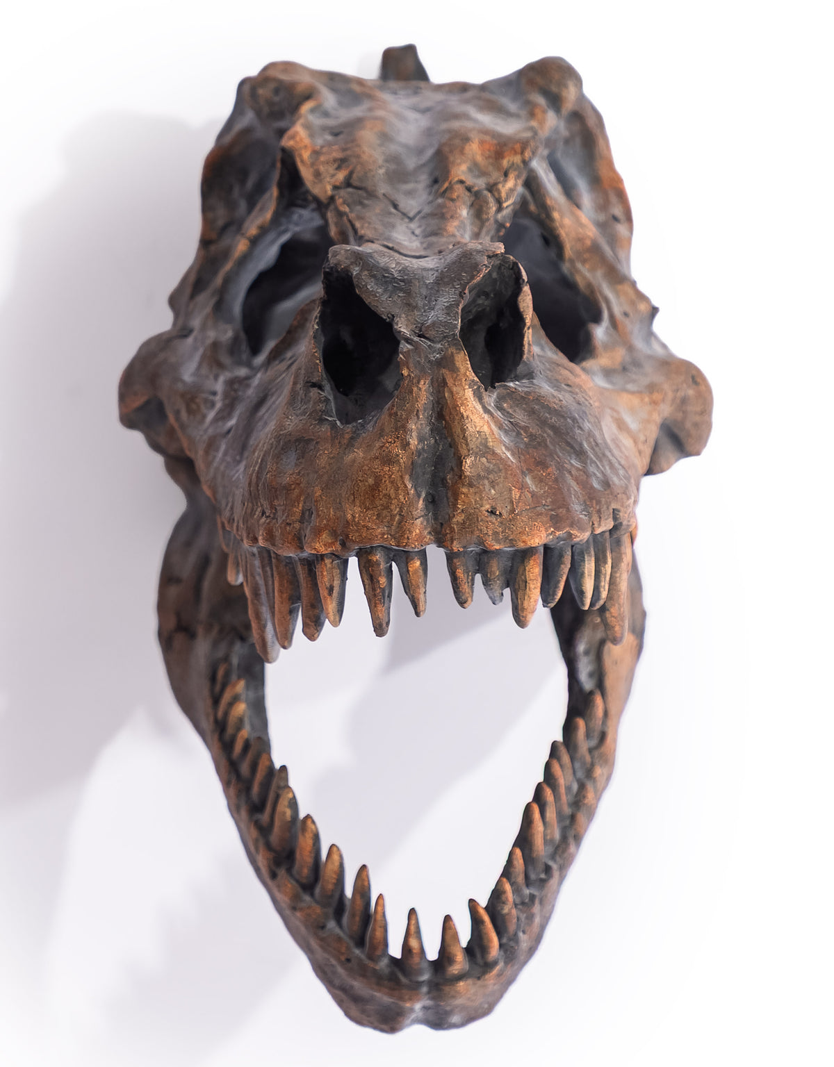 Large T-Rex Skull Wall Head - BD88