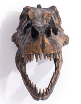 Large T-Rex Skull Wall Head - BD88