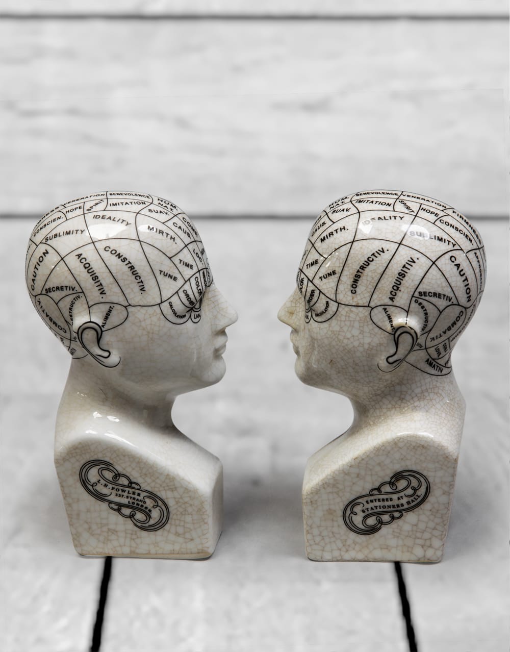 Antiqued Ceramic Phrenology Head Bookends/ Ornaments - BP237