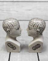 Antiqued Ceramic Phrenology Head Bookends/ Ornaments - BP237