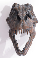 Extra Large T-Rex Skull Wall Head - BD102