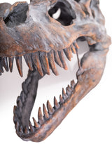 Extra Large T-Rex Skull Wall Head - BD102
