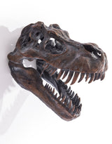 Extra Large T-Rex Skull Wall Head - BD102