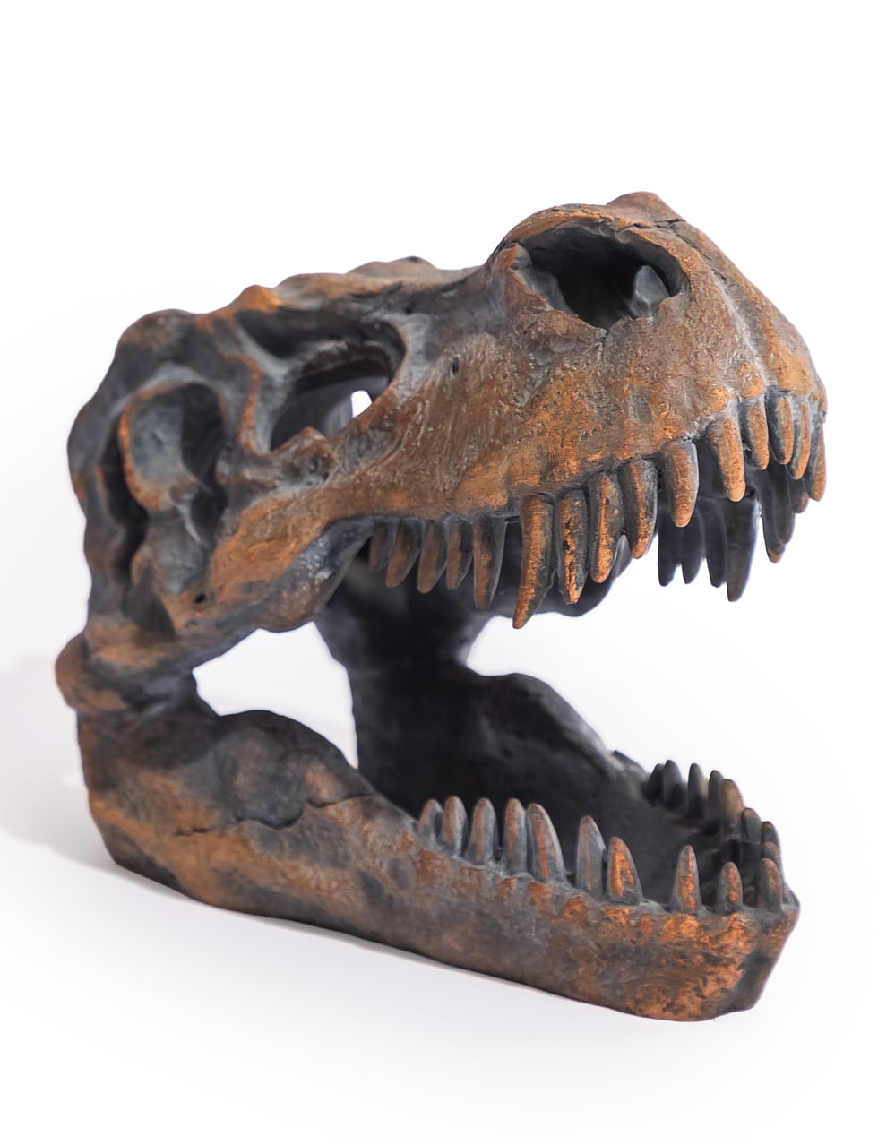 T-Rex Skull Table Decor - BD113