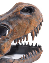 T-Rex Skull Table Decor - BD113