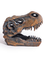 T-Rex Skull Table Decor - BD113
