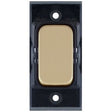 Selectric GRID360 Satin Brass 10A Retractive Switch Module with Black Insert