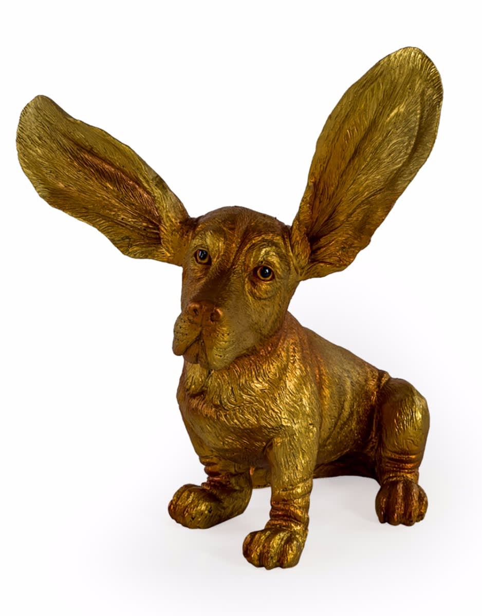 Gold Surprised Basset - BD122