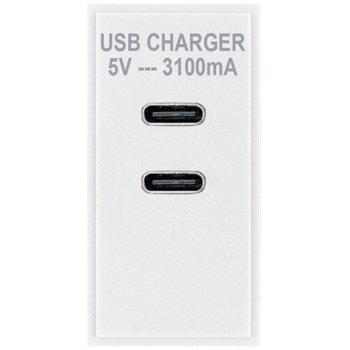 Selectric White 2xUSB Type C (3.1A) Module
