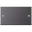Selectric 5M Black Nickel 2 Gang Blank Plate
