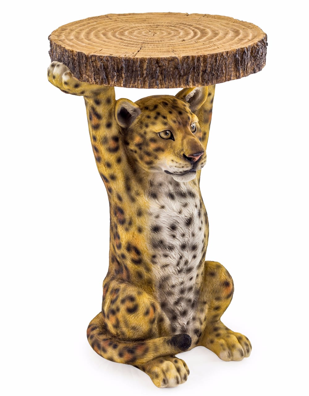 Leopard Holding "Trunk Slice" Side Table - BD140