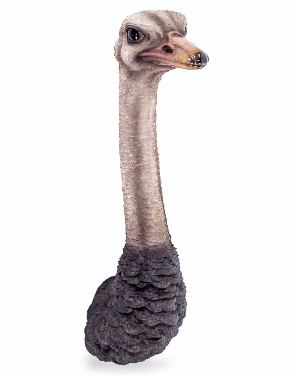 Ostrich Head Wall Figure - BD143