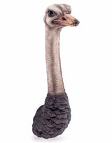 Ostrich Head Wall Figure - BD143