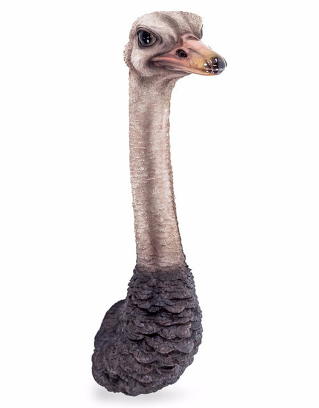 Ostrich Head Wall Figure - BD143