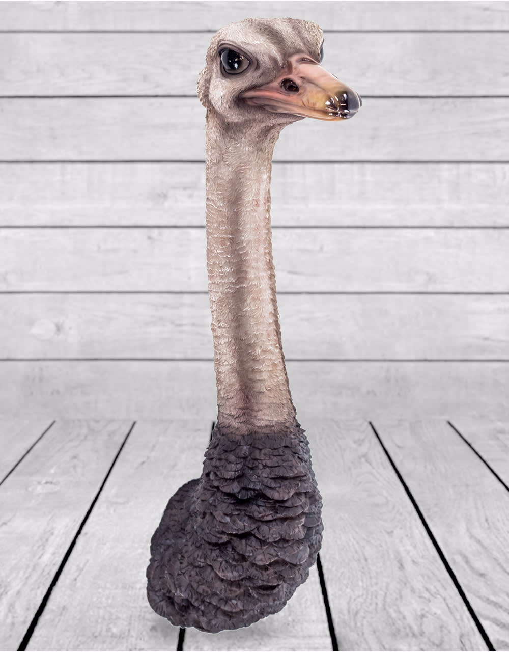Ostrich Head Wall Figure - BD143