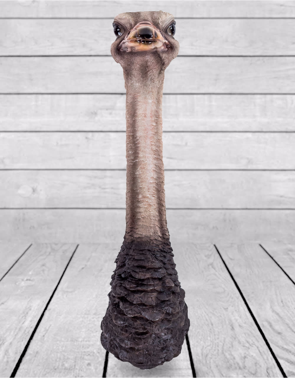 Ostrich Head Wall Figure - BD143