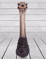 Ostrich Head Wall Figure - BD143