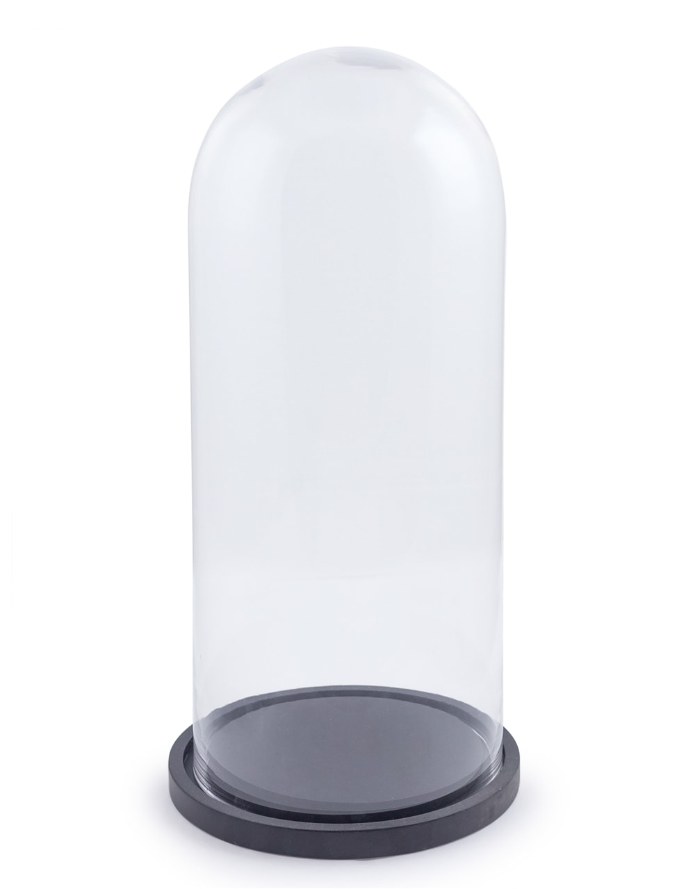 Large Glass Dome/Cloche on Black Wooden Base - GW56