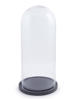 Large Glass Dome/Cloche on Black Wooden Base - GW56
