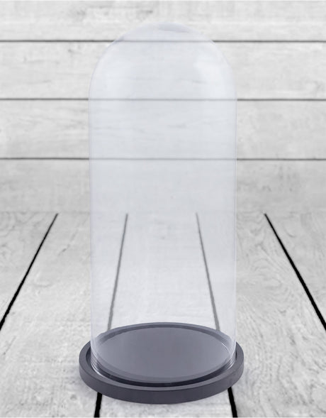 Large Glass Dome/Cloche on Black Wooden Base - GW56