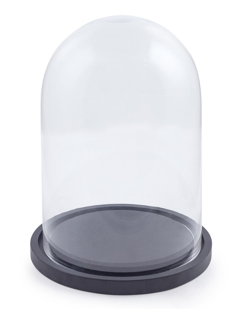 Small Glass Dome/Cloche on Black Wooden Base - GW58
