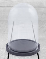 Small Glass Dome/Cloche on Black Wooden Base - GW58