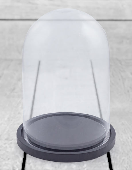 Small Glass Dome/Cloche on Black Wooden Base - GW58