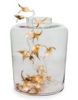 Large Clear Glass Jar Vase - GW71